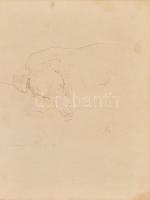 Bernáth Aurél (1895-1982): Alvó kutya. Tus, toll, papír. Jelezve jobbra lent. Oeuvre kat. szám: 1953/41. Üvegezett fa keretben. 29x21,5 cm / Inkj on paper, signed, oeuvre cat. no. 1953/41. Framed with glass.