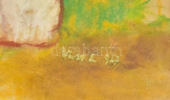 Vass E 947 jelzéssel. Hölgy napernyővel. Pasztell, papír. Üvegezett, sérült fa keretben. 50x39 cm