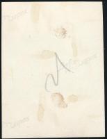 cca 1933 Kinszki Imre (1901-1945) budapesti fotóművész hagyatékából, jelzés nélküli vintage fotó (Kö...