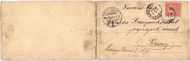 1904 Boksánbánya, Németbogsán, Deutsch-Bogsan, Bocsa Montana; Rosner Adolf, kihajtható panorámalap /...