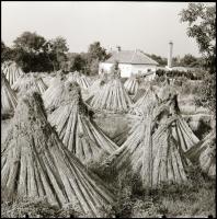 cca 1960 Kotnyek Antal (1921-1990) budapesti fotóriporter hagyatékából 13 db vintage NEGATÍV, többfé...