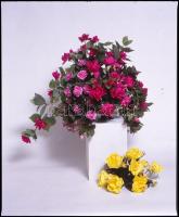cca 1974 Műtermi virág és növény kompozíciók, szabadon felhasználható, professzionális minőségű, 13 db vintage DIAPOZITÍV, 6x7 cm