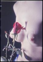 cca 1970 Czakó László (?-?) pécsi fotóművész hagyatékából 13 db vintage DIAPOZITÍV, 36x24 mm