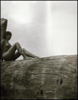 A megbízható kamera ismérve: csütörtökön sem mond csütörtököt - Menesdorfer Lajos (1941-2005) budape...