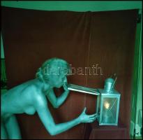 Fiatalok és csodaszépek - Menesdorfer Lajos (1941-2005) budapesti fotóművész hagyatékából, eltérő id...