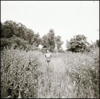 Szubjektív látomások - Menesdorfer Lajos (1941-2005) budapesti fotóművész hagyatékából, eltérő időpo...