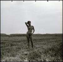 Jöttem, láttam, lőttem - Menesdorfer Lajos (1941-2005) budapesti fotóművész hagyatékából, eltérő idő...