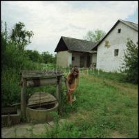 A nők bűvkörében - Menesdorfer Lajos (1941-2005) budapesti fotóművész hagyatékából, eltérő időpontok...