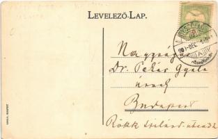 1909 Nagyszőlős, Nagyszőllős, Vynohradiv (Vinohragyiv), Sevljus, Sevlus; Báró Perényi Zsigmond kasté...