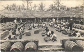 Ceylon, Sri Lanka; Plumbago preparation (EK)
