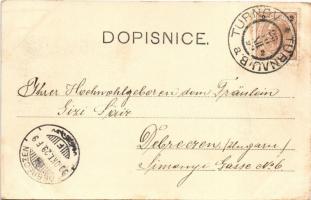 1899 Sedmihorky, Wartenberg (Karlovice, Karlowitz); Lázne Sedmihorky / spa, bath. Ant Vericha (EK)