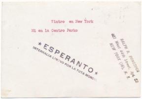 New York, Vintro en New York / Central Park in winter. photo (non PC) + "Esperanto Internacia L...