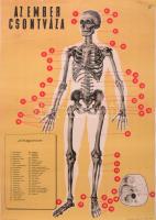 cca 1950 Az ember csontváza, Bp., Belügyminisztérium Légoltalmi Országos Parancsnoksága Kiképzési Osztálya, Játékkártyagyár-ny., szakadással, 68x47 cm