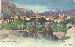 1917 Bolzano, Bozen (Südtirol); gegen Süden s: T. Grubhofer (EK)