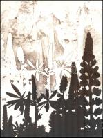 1974 Bándi András (?-?) budapesti fotóművész hagyatékából, pecséttel jelzett vintage fotóművészeti alkotása (Virágok), a magyar fotográfia avantgarde korszakából, 39,8x30 cm