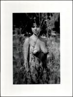 cca 1982 Marinkay István (1920-?) veszprémi fotóművész hagyatékából, jelzés nélküli vintage fotóművészeti alkotás, kasírozva, négy sarkán gombostű nyoma, 38,7x30 cm