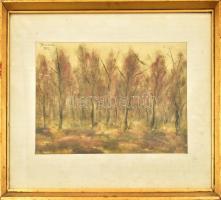 Brusch Péter (1921-1985): Őszi erdő, 1952 (hátoldalon vázlat). Akvarell, papír, jelzett, üvegezett fa keretben, 24,5×36,5 cm