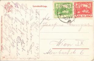 1919 Tátra, Vysoké Tatry; Tarpatakfüred, Lomnici csúcs, Gant, nyaraló, szálló, üzlet. Feitzinger Ede...