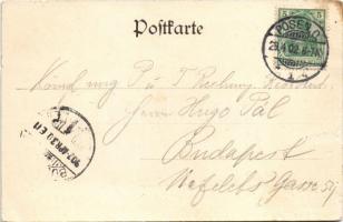 1902 Poznan, Posen; Dom / cathedral (Rb)