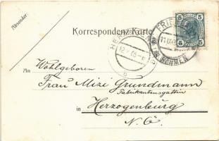 1905 Frydlant, Friedland i. B.; Art Nouveau, mosaic