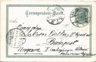 1904 Salzburg, castle, funicular railway, gate. Gebr. Metz Kunstverlags-Anstalt 4454. Art Nouveau, f...