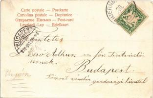 1902 Nürnberg, Nuremberg; Pfannenschmiedsgasse, Gasthaus / street view, inn (fl)