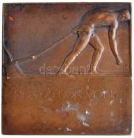 Vágó Dezső (1882-1945) DN "Bókay Árpád / SIV VOS NON VOBIS" kétoldalas Br plakett (166,46g...