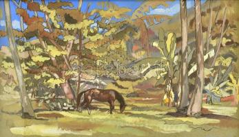 Jelzés nélkül, feltehetően XX. sz. francia festő alkotása: Ló a trópusi tisztáson. Akvarell, tus, papír. Üvegezett fa keretben, 32,5×49,5 cm