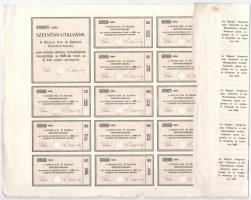 Budapest 1901. "Magyar Ipar és Árubank Részvény-Társaság" részvénye 200K-ról szelvényekkel...