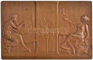 Ausztria 1908. "DER MENSCHHEIT WUERDE IST IN EURE HAND GEGEBEN BEWARTEN SIE FR. VON SCHILLER&qu...