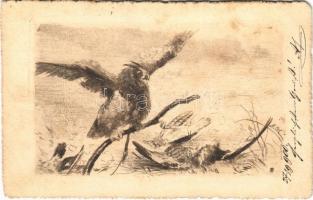 1900 Hunter art postcard, prey (fl)