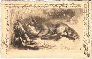 1900 Hunter art postcard, fox (fl)