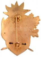 1911. "M.T.E. E-O (Magyar Turista Egyesület Esztergomi Osztálya) 1911" zománcozott és aran...