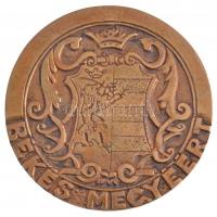 1995. "Békés Megye Képviselő-Testületének Kitüntető díja - Dr. Sipos András - Békéscsaba, 1995....