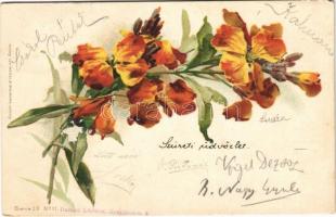 1899 Flowers. Verlag v. Wezel & Naumann Serie 30. No. 11. litho (EM)