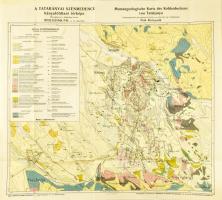 cca 1900 Tatabányai Szénmedence bányaföldtani térképe, készítette: Rozlozsnik Pál, 1:12 500, 70,5×78 cm