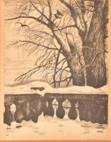 Zádor István (1882-1963): Tél a Margitszigeten. Rézkarc, papír, jelzett, üvegezett keretben. paszpartu foltos. 33,5×24 cm
