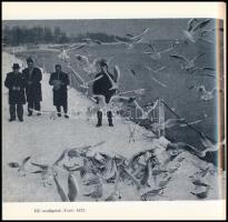 Entz Béla: Változó Balaton. Élet a vízben és a parton. Bp.,1983,Natura. Fekete-fehér fotókkal. Kiadó...
