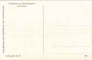 Hollabrunn, Oberhollabrunn; Waldpartie, Antonihütte / forest hut