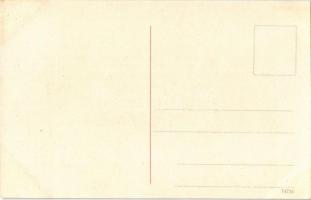 Donau von Passau-Wien. Vogelschaubild No. 7. / map with Danube river. Atelier E. Felle