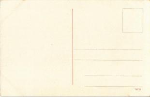 Donau von Passau-Wien. Vogelschaubild No. 8. / map with Danube river. Atelier E. Felle