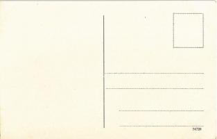 Donau von Passau-Wien. Vogelschaubild No. 9. / map with Danube river. Atelier E. Felle