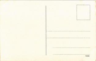 Donau von Passau bis Wien. Vogelschaubild N. III. / map with Danube river. Atelier E. Felle