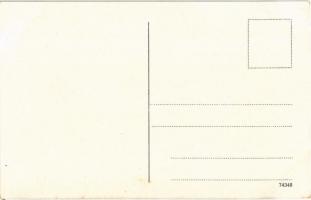 Donau von Passau bis Wien. Vogelschaubild N. I. / map with Danube river. Atelier E. Felle