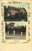 1911 Skrivany, Villa Mallmann. Art Nouveau, floral