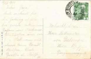 1911 Skrivany, Villa Mallmann. Art Nouveau, floral