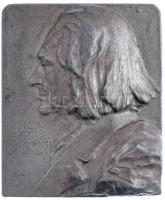 DN Franz Liszt bronzozott fém (Sn?) plakett. Szign.: F. Stias (62x52mm) T:2- ND Franz Liszt bronze plated metal (Sn?) plaque. Sign.: F. Stias (62x52mm) C:VF