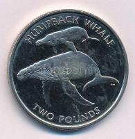 Déli-Georgia és Déli-Sandwich-szigetek 2006. 2Ł Cu-Ni Hosszúszárnyú bálna T:1,1- (eredetileg PP) South Georgia and South Sandwich Islands 2006. 2 Pounds Cu-Ni Humpback whale C:UNC,AU (originally PP) Krause KM#24