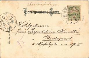 1902 Kyselka, Giesshübl Sauerbrunn; Versendungs-Gebäude. Hofkunstanstalt Eckstein & Stähle litho...