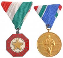 1954. 1954. évi Dunai Árvízvédelemért aranyozott Br kitüntetés mellszalaggal + ~1970. A Szocialista Kultúráért zománcozott fém kitüntetés mellszalagon T:2
